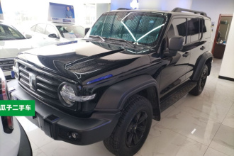 坦克300 2023款 越野版 2.0T 征服者