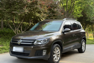 大众 途观 2017款 300TSI 自动两驱丝绸之路风尚版