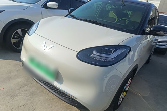 五菱汽车 五菱缤果 2024款 333km 悦享款