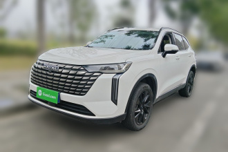 哈弗H6 2024款 1.5T 两驱Max