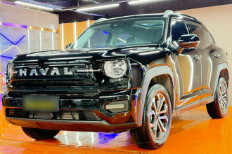 哈弗大狗 PLUS 2026款 1.5T 潮趣版