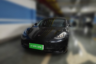 特斯拉 Model 3 2019款 标准续航后驱升级版