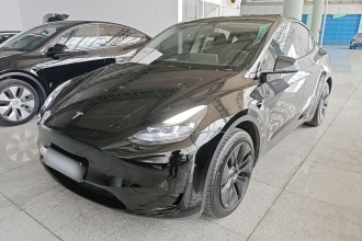 特斯拉 Model Y 2024款 后轮驱动版
