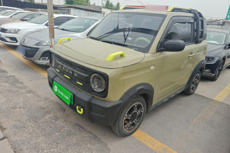 吉利银河 2024款 200km 熊猫骑士