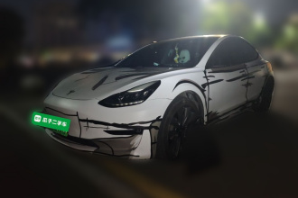 特斯拉 Model 3(进口) 2019款 长续航后驱版