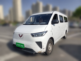 五菱汽车 五菱扬光 2024款 300km 舒适型客车版 75kW