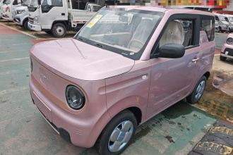 吉利银河 2024款 熊猫mini 200km 耐力熊
