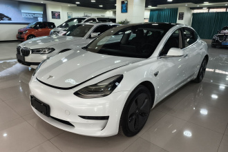 特斯拉 Model 3(进口) 2019款 标准续航后驱升级版