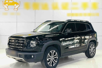 哈弗大狗 2022款 1.5T DCT两驱边牧版