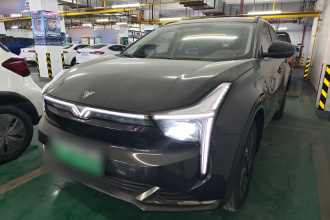 哪吒汽车 哪吒U 2022款 智500 三元锂