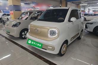 奔腾小马 2025款 222km 闪电马