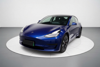 特斯拉 Model 3 2019款 标准续航后驱升级版