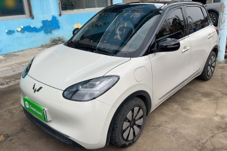 五菱汽车 五菱缤果 2024款 333km 悦享款