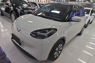 五菱汽车 五菱缤果 2024款 333km 悦享款