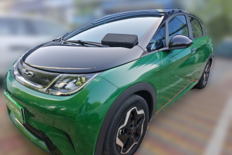 比亚迪 海豚 2021款 405km 时尚版