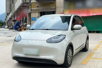 五菱汽车 五菱缤果 2023款 333km 悦享+款