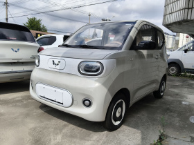 五菱汽车 宏光MINIEV 2024款 第三代 215km 青春版