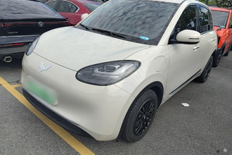 五菱汽车 五菱缤果 2024款 333km 悦享款
