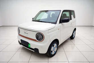 吉利银河 2024款 熊猫mini 200km 耐力熊