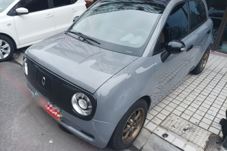 欧拉黑猫 2019款 301km 标准版