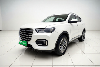 哈弗H6 2020款 1.5GDIT 自动铂金冠军版