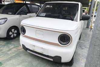 吉利银河 2023款 熊猫mini 200km 耐力熊