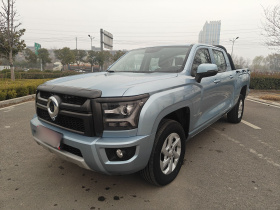 长城 金刚炮 2024款 2.0T自动8AT柴油两驱精英型平箱