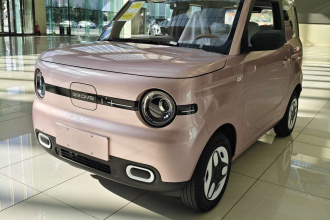 吉利银河 2025款 熊猫mini 210km 元气熊