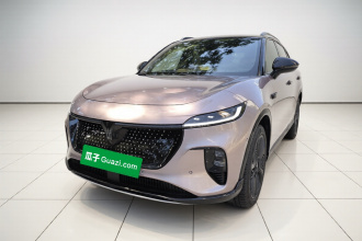 岚图汽车 岚图知音 2024款 四驱全球版