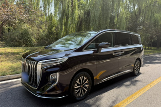 红旗HQ9 PHEV 2024款 2.0T 四驱商务版