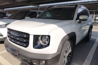 哈弗大狗 2021款 1.5T DCT两驱边牧版
