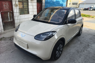 五菱汽车 五菱缤果 2025款 333km 悦享款
