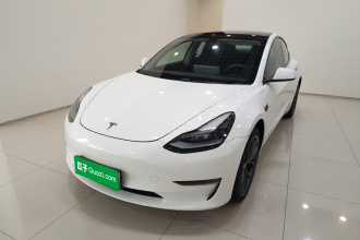 特斯拉 Model 3 2021款 Performance高性能全轮驱动版