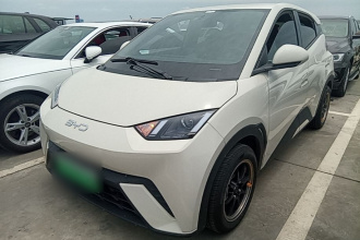 比亚迪 海鸥 2024款 荣耀版 305km 自由版