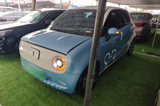 欧拉黑猫 2019款 351km 亲子版