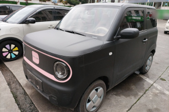 吉利银河 2024款 熊猫mini 200km 耐力熊