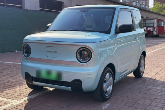 吉利银河 2024款 熊猫mini 200km 耐力熊