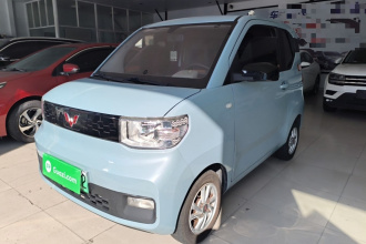五菱汽车 宏光MINIEV 2020款 悦享款 磷酸铁锂