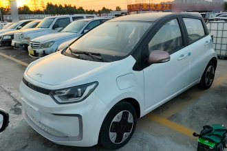 江淮钇为 钇为花仙子 2024款 挚爱版 301km Lite