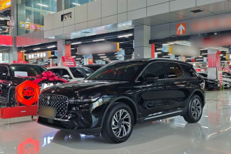 林肯 冒险家 2024款 2.0T 两驱尊享版