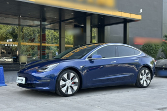 特斯拉 Model 3(进口) 2019款 Performance高性能全轮驱动版