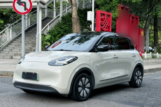 五菱汽车 五菱缤果 2024款 333km 灵犀互联款
