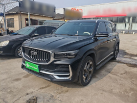 吉利汽车 星越L 2024款 2.0TD DCT EVO两驱长风版