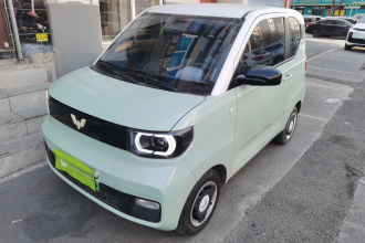 五菱汽车 宏光MINIEV 2021款 马卡龙时尚款 磷酸铁锂