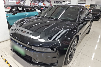 极氪001 2021款 超长续航双电机 YOU版