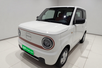 吉利银河 2024款 熊猫mini 200km 耐力熊