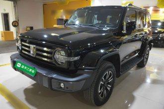 坦克300 2021款 城市版 2.0T 我看型