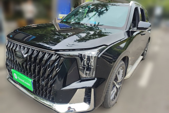 广汽传祺 传祺GS8 2022款 双擎系列 2.0TM 四驱尊贵版 （七座）