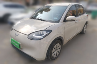 五菱汽车 五菱缤果 2025款 203km 轻享款