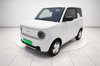 吉利银河 2024款 熊猫mini 200km 耐力熊